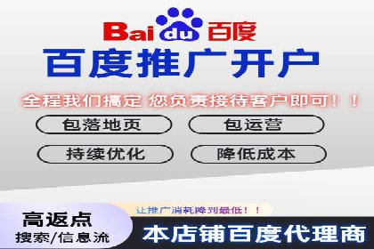百度推广运营策略案例：品牌提升的捷径